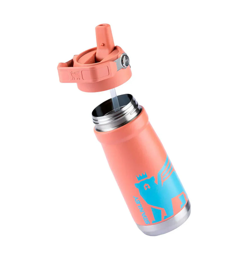 Garrafa Térmica Flip Straw Youth Grapefruit | 500ML