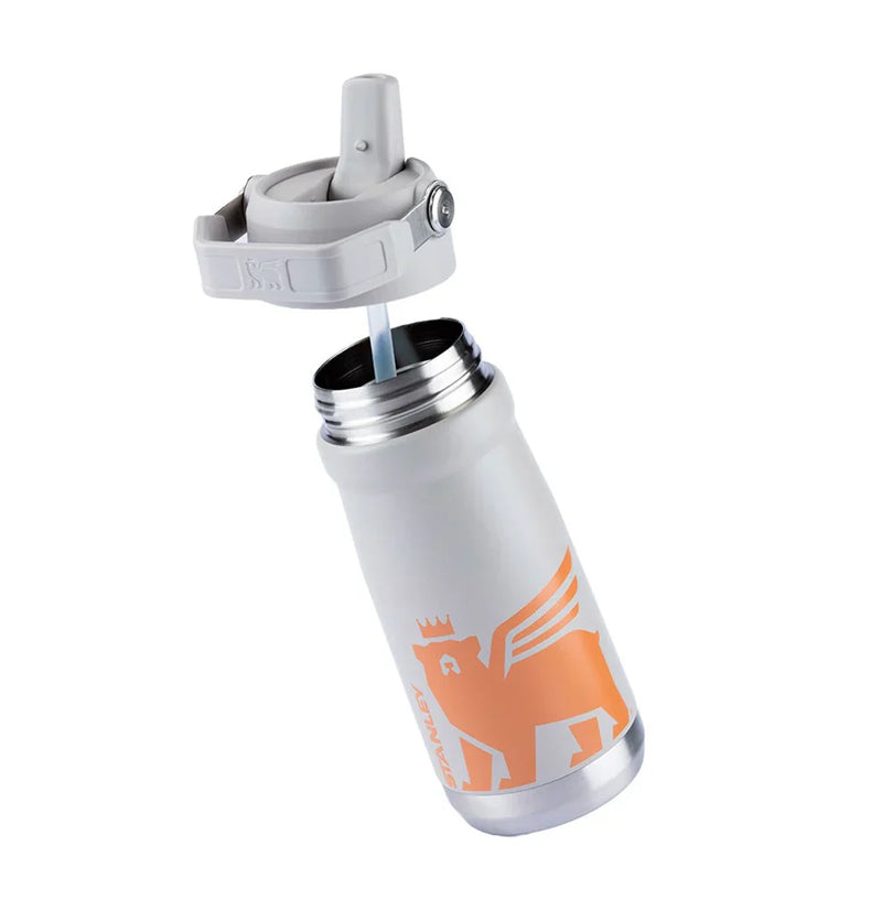 Garrafa Térmica Flip Straw Youthv Ash | 500ML