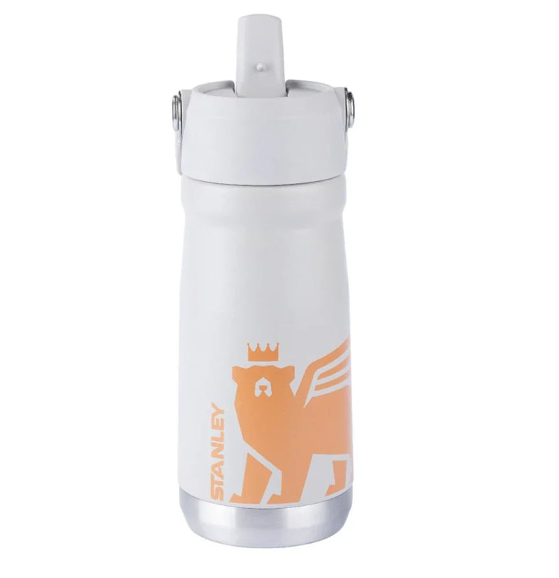 Garrafa Térmica Flip Straw Youthv Ash | 500ML