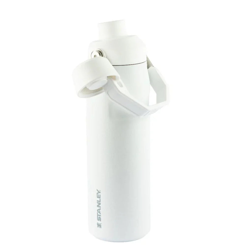 Garrafa Térmica Aerolight Fast Flow Polar | 710ML