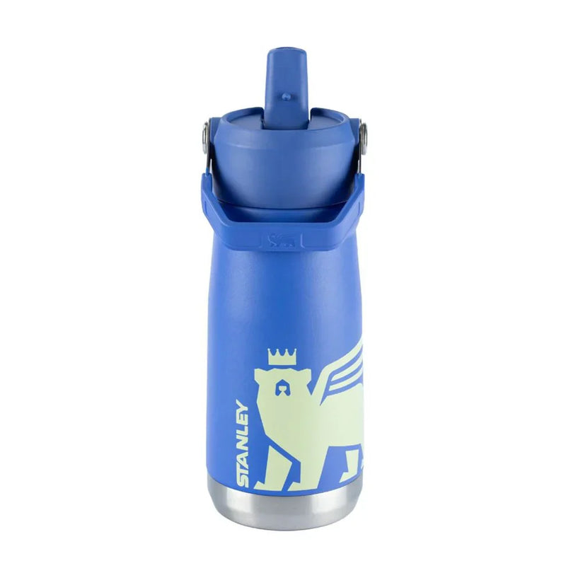 Garrafa Térmica Flip Straw Youth  Iris | 500ML