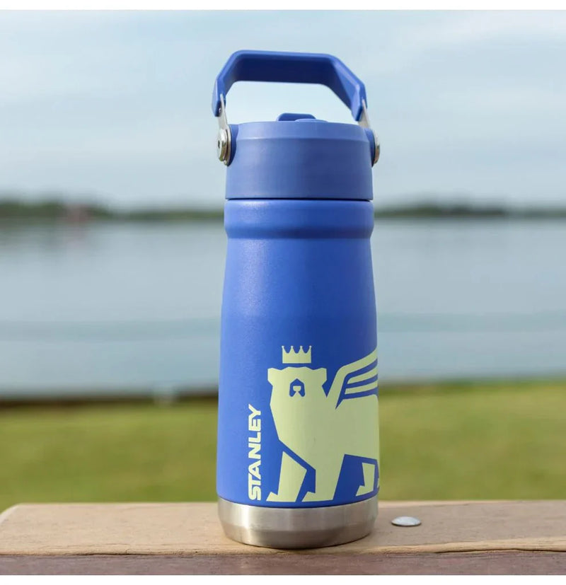 Garrafa Térmica Flip Straw Youth  Iris | 500ML