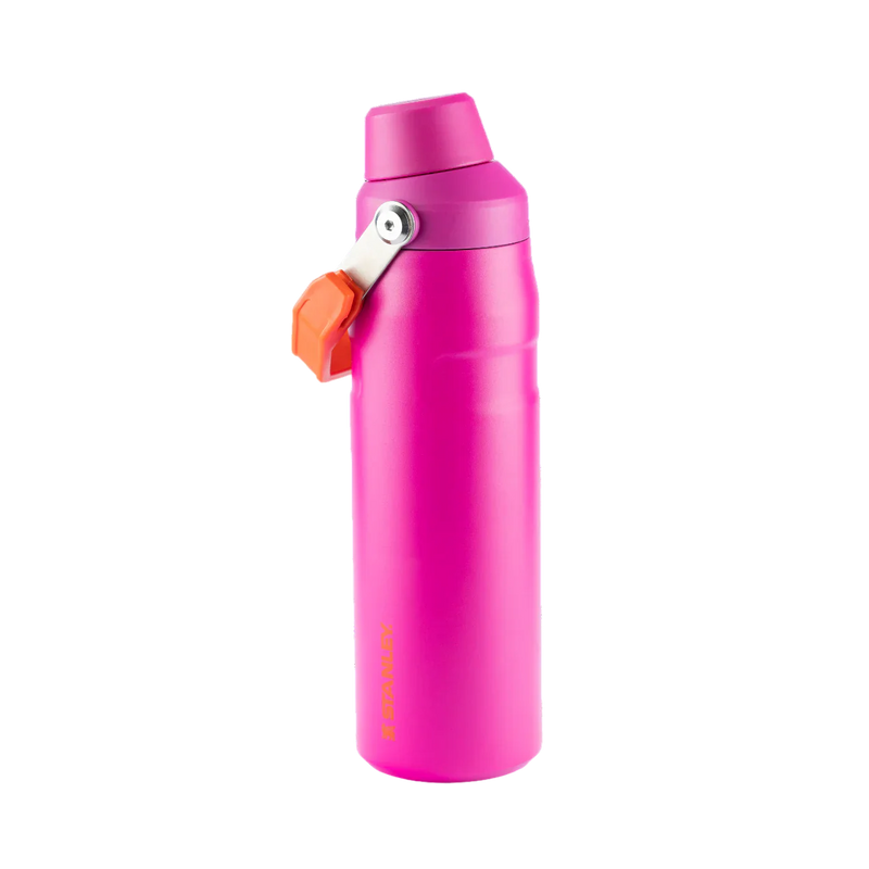 Garrafa Térmica Aerolight Fast Flow Heat Wave Vivid Violet | 710ML