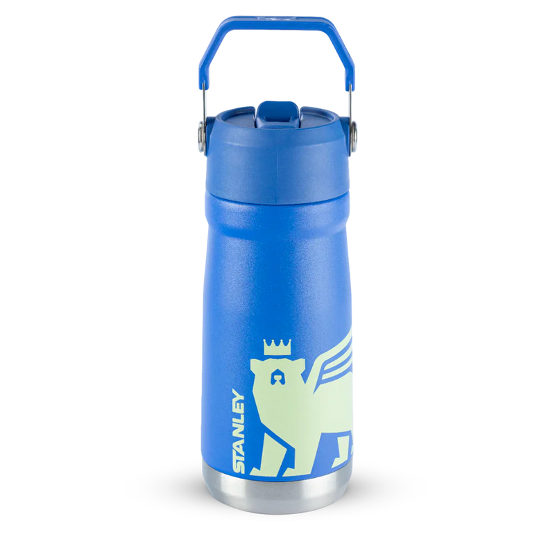 Garrafa Térmica Flip Straw Youth  Iris | 500ML